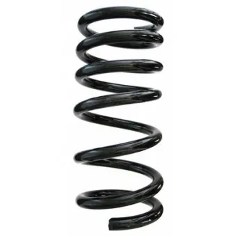 Ressort de suspension SPIDAN 55788