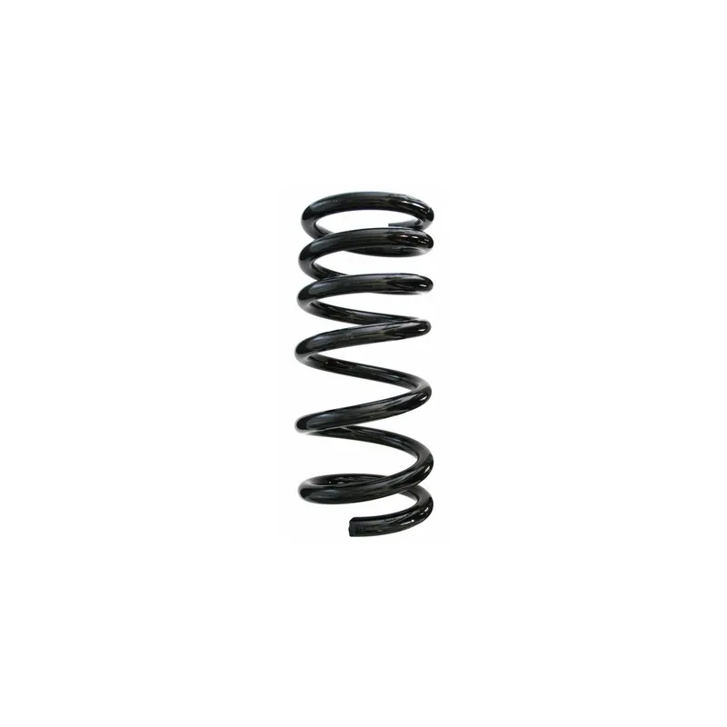 Ressort de suspension SPIDAN 55788