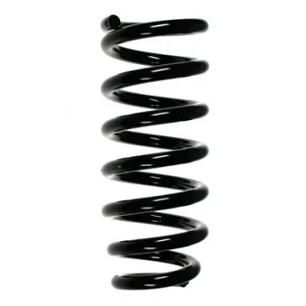 Ressort de suspension SPIDAN 55789