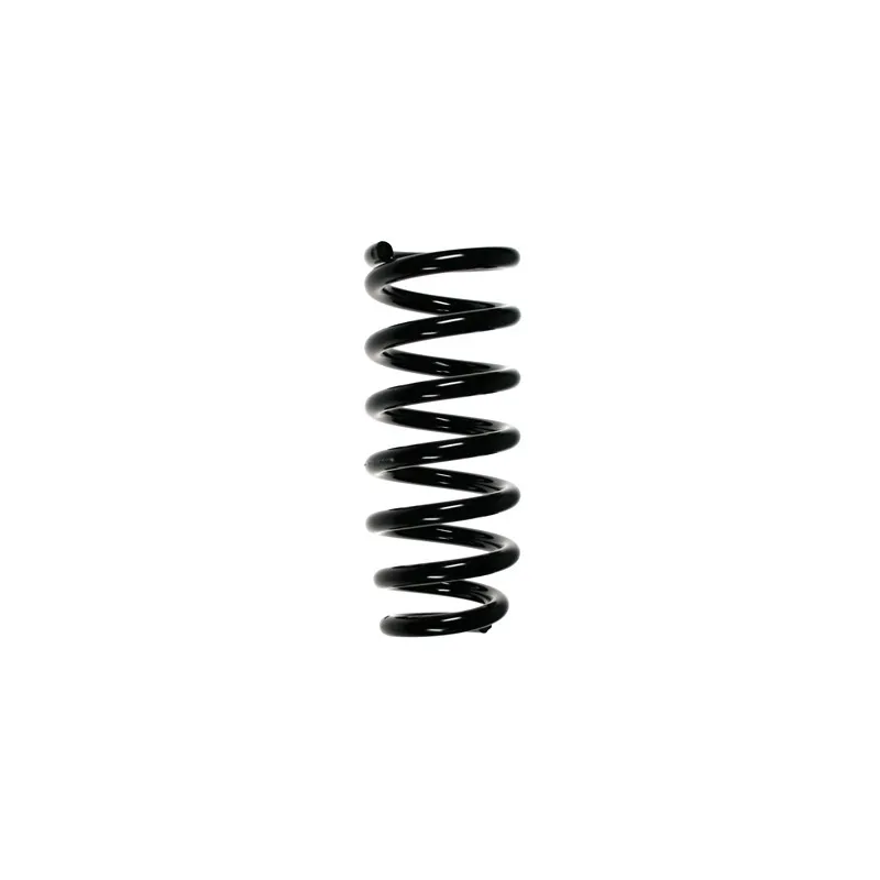 Ressort de suspension SPIDAN 55789