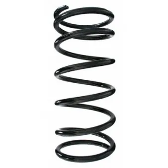 Ressort de suspension SPIDAN 55793