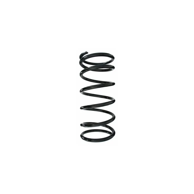 Ressort de suspension SPIDAN 55793
