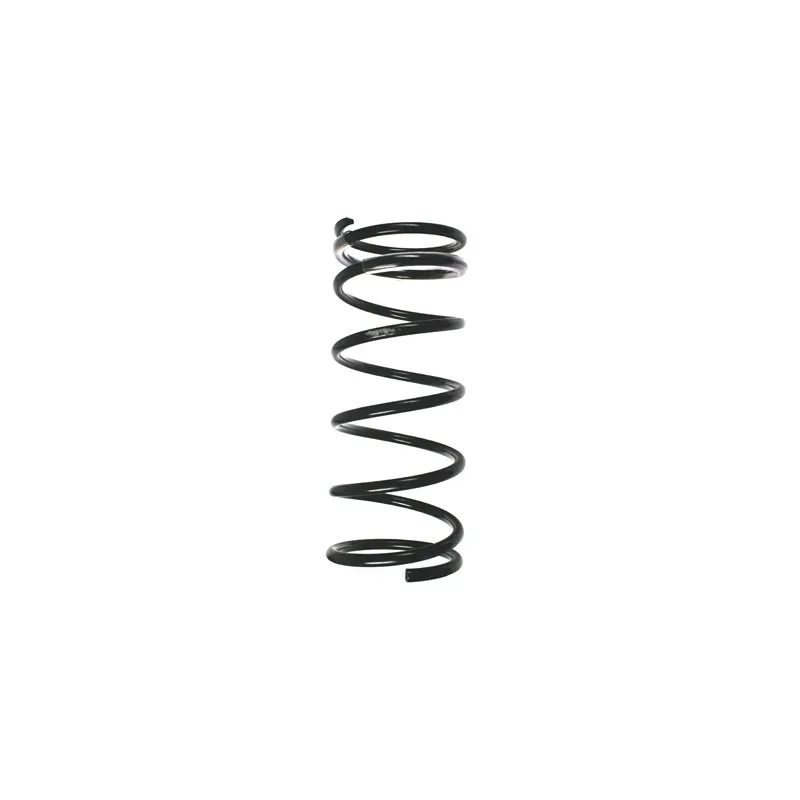 Ressort de suspension SPIDAN 55795