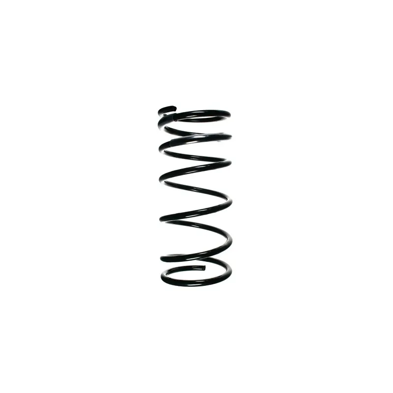 Ressort de suspension SPIDAN 55796