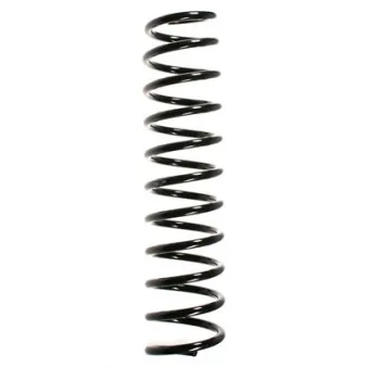 Ressort de suspension SPIDAN 55808