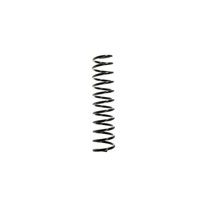 Ressort de suspension SPIDAN 55808
