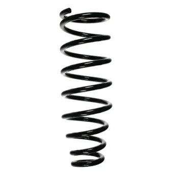 Ressort de suspension SPIDAN 55826