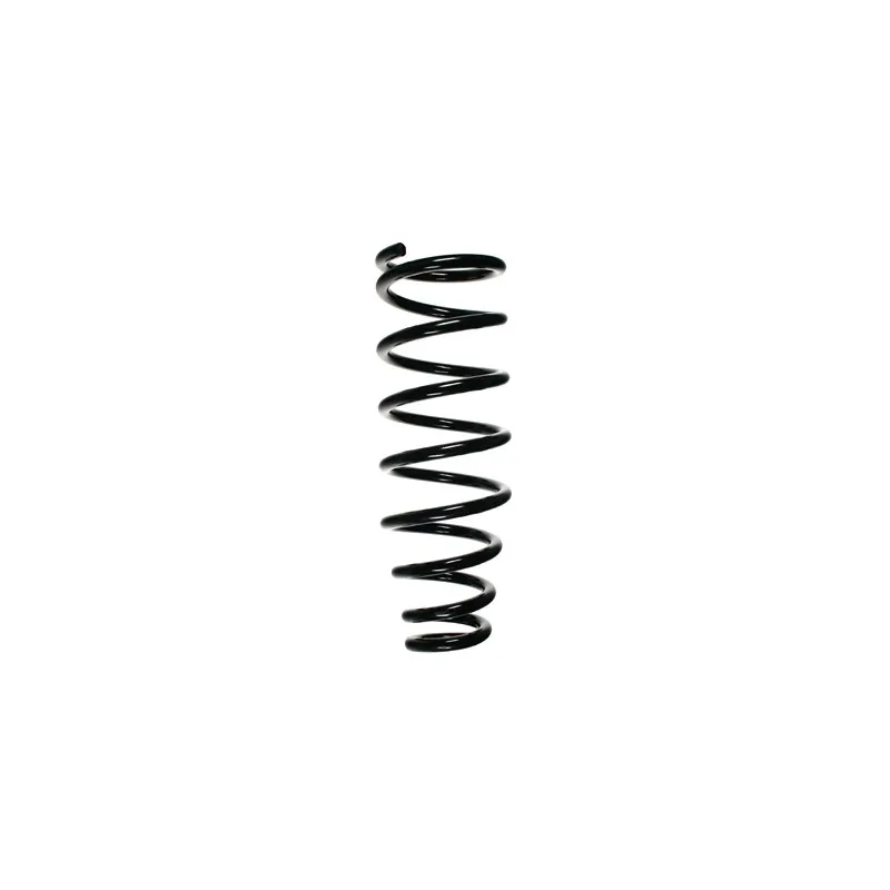 Ressort de suspension SPIDAN 55826