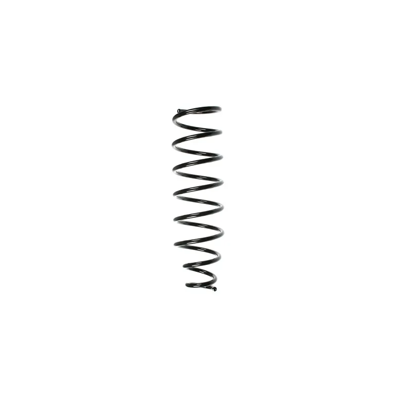 Ressort de suspension SPIDAN 55828