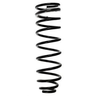 Ressort de suspension SPIDAN 55830