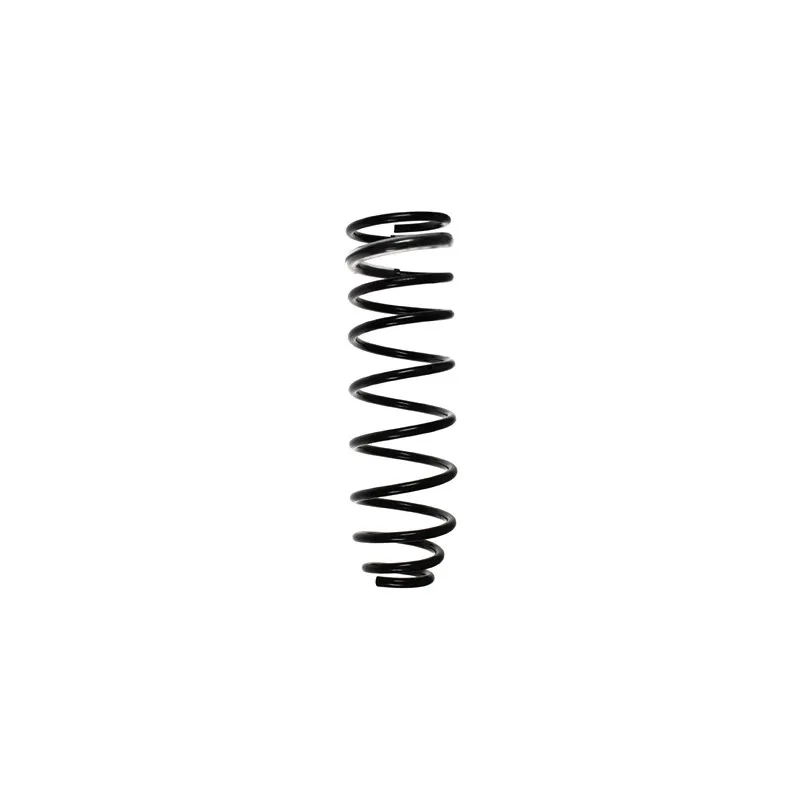 Ressort de suspension SPIDAN 55830