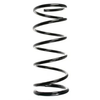 Ressort de suspension SPIDAN 55872