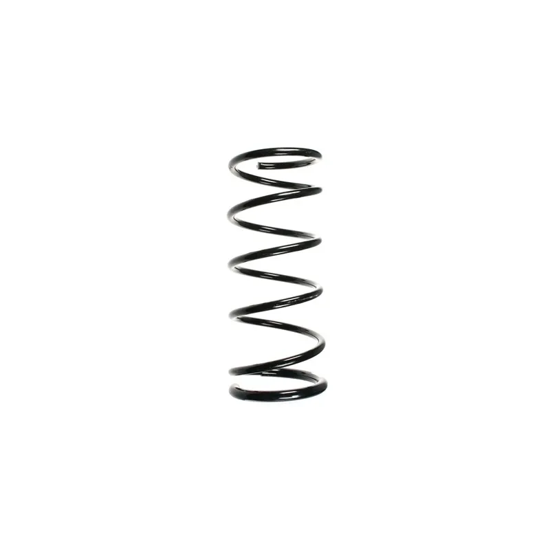 Ressort de suspension SPIDAN 55872