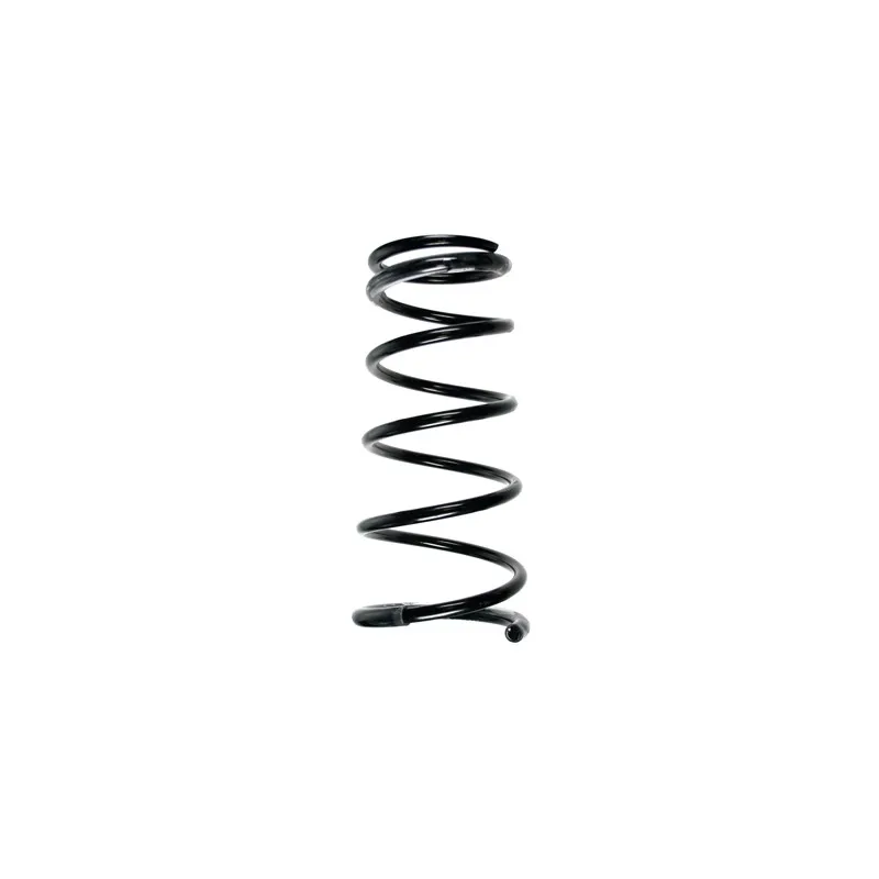 Ressort de suspension SPIDAN 55874