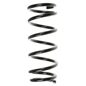 Ressort de suspension SPIDAN 55875