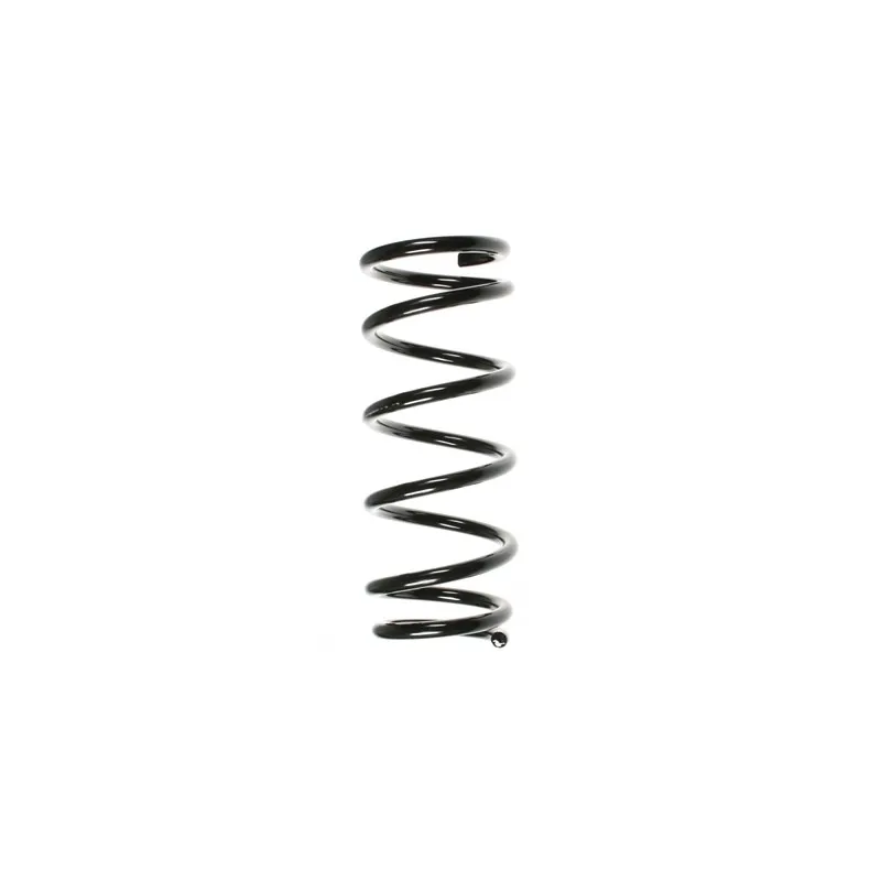 Ressort de suspension SPIDAN 55875