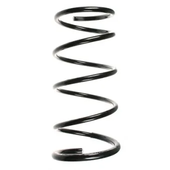 Ressort de suspension SPIDAN 55876