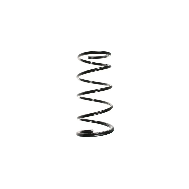 Ressort de suspension SPIDAN 55876
