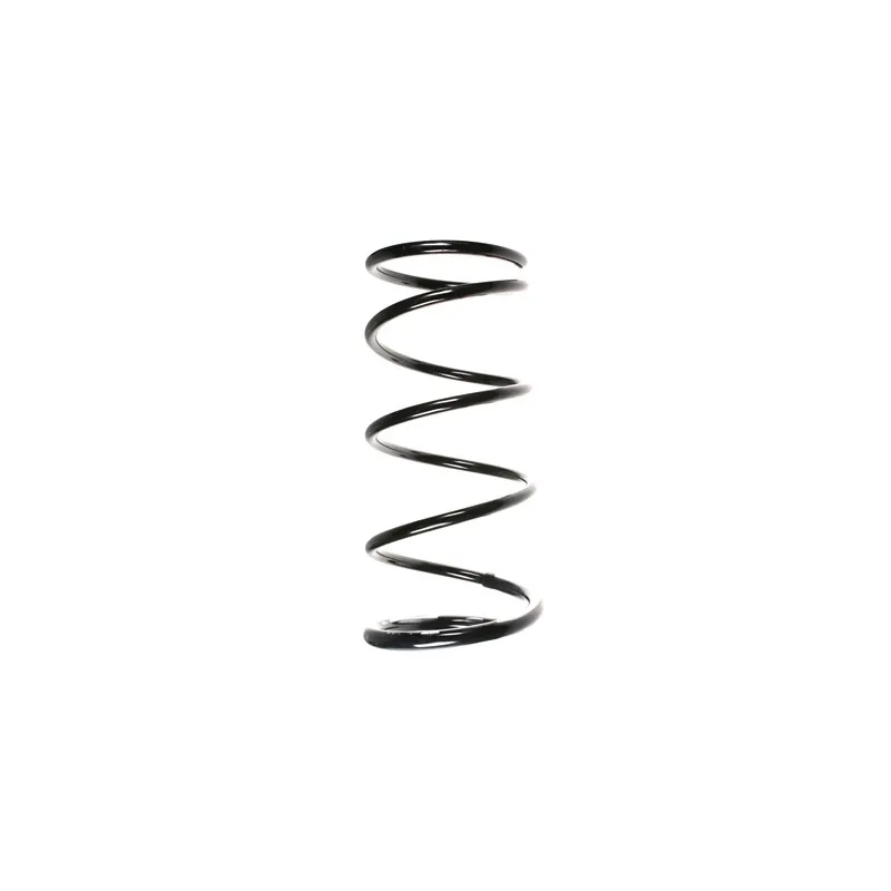 Ressort de suspension SPIDAN 55877