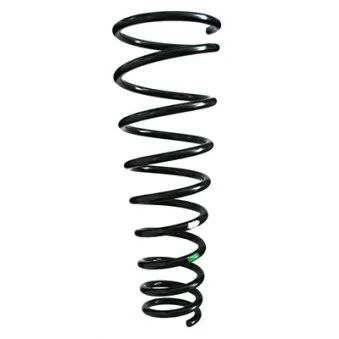 Ressort de suspension SPIDAN 55881