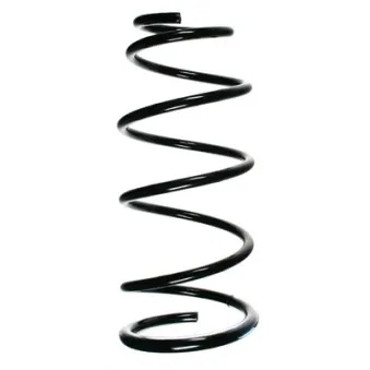 Ressort de suspension SPIDAN 55893