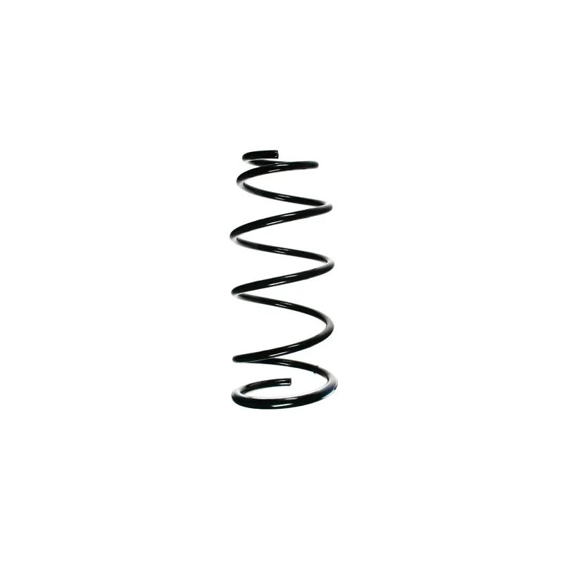 Ressort de suspension SPIDAN 55893