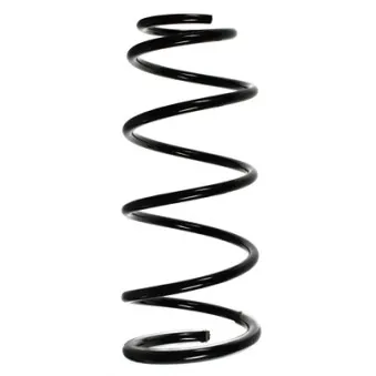 Ressort de suspension SPIDAN 55894
