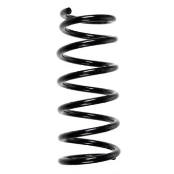 Ressort de suspension SPIDAN 55896