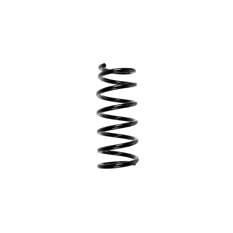 Ressort de suspension SPIDAN 55896