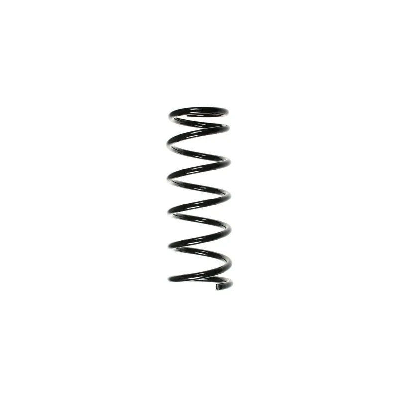 Ressort de suspension SPIDAN 55897