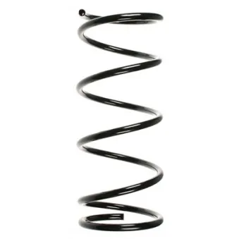 Ressort de suspension SPIDAN 55903