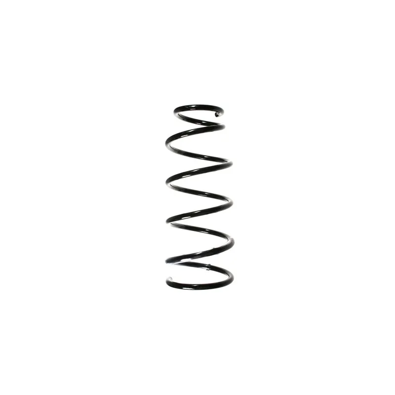 Ressort de suspension SPIDAN 55913