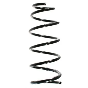 Ressort de suspension SPIDAN 55915