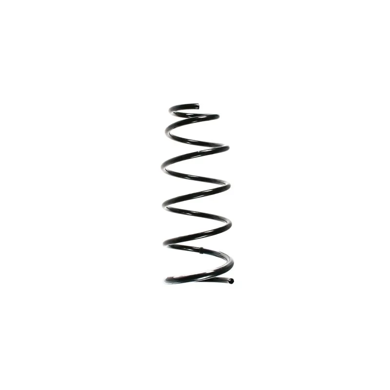 Ressort de suspension SPIDAN 55915
