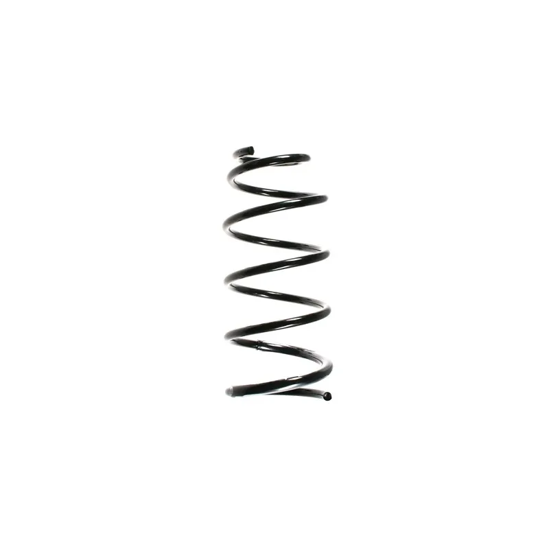 Ressort de suspension SPIDAN 55916