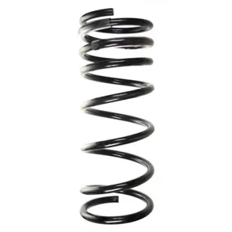 Ressort de suspension SPIDAN 55924