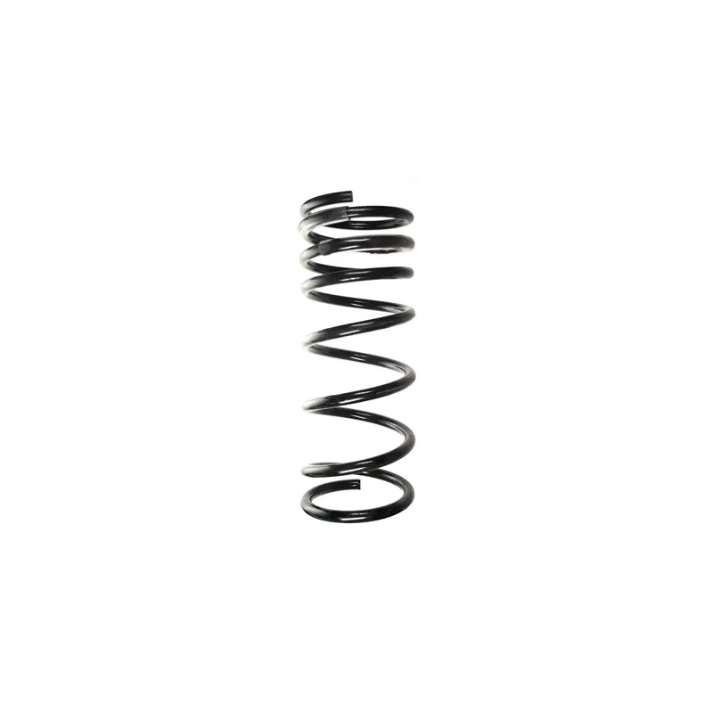 Ressort de suspension SPIDAN 55924