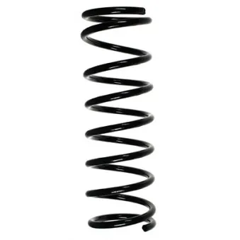 Ressort de suspension SPIDAN 55930