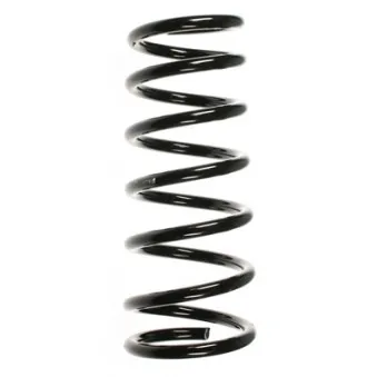 Ressort de suspension SPIDAN 55933