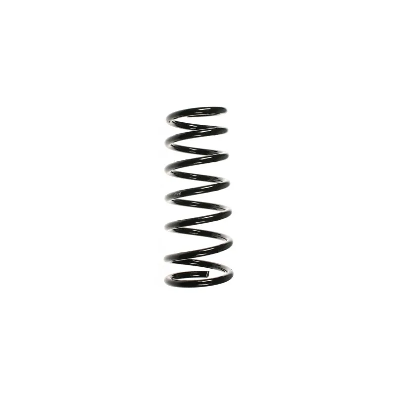 Ressort de suspension SPIDAN 55933