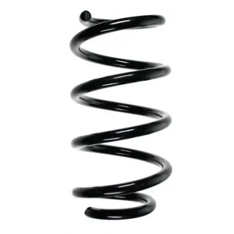 Ressort de suspension SPIDAN 55941