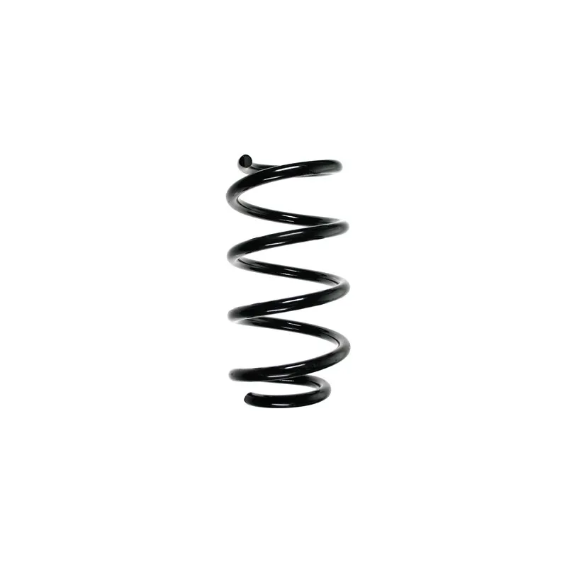 Ressort de suspension SPIDAN 55941
