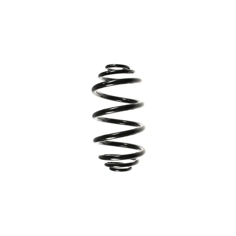 Ressort de suspension SPIDAN 55943