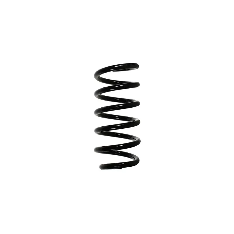 Ressort de suspension SPIDAN 55944
