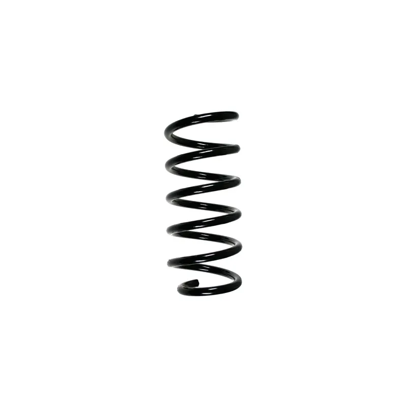 Ressort de suspension SPIDAN 55947