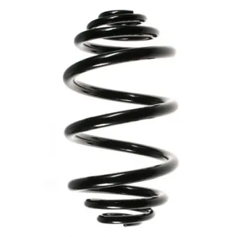 Ressort de suspension SPIDAN 55954