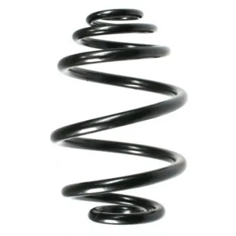 Ressort de suspension SPIDAN 55955
