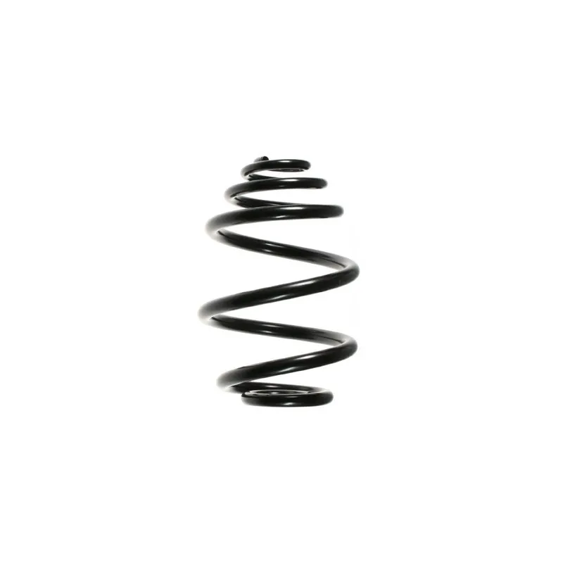 Ressort de suspension SPIDAN 55956