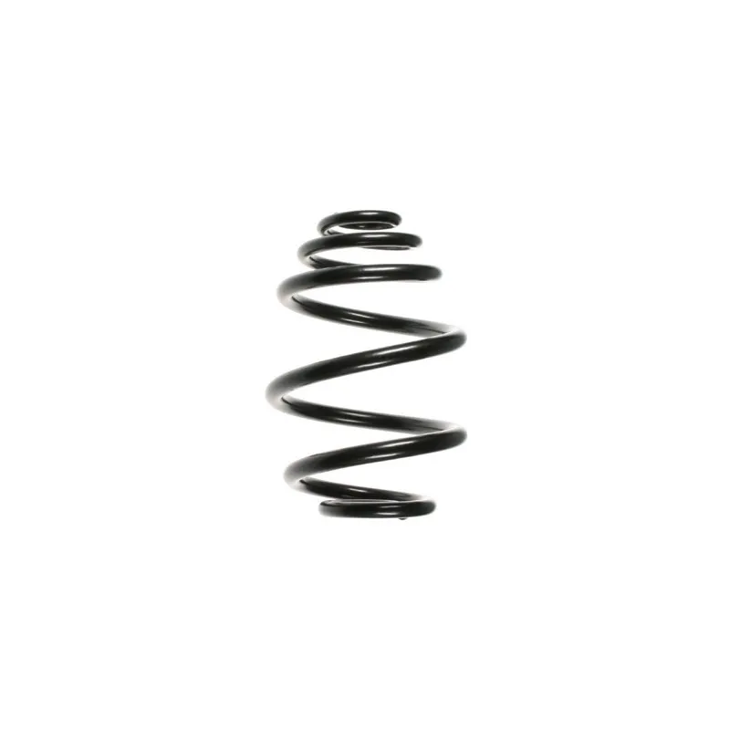 Ressort de suspension SPIDAN 55957