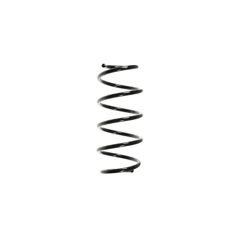 Ressort de suspension SPIDAN 55962